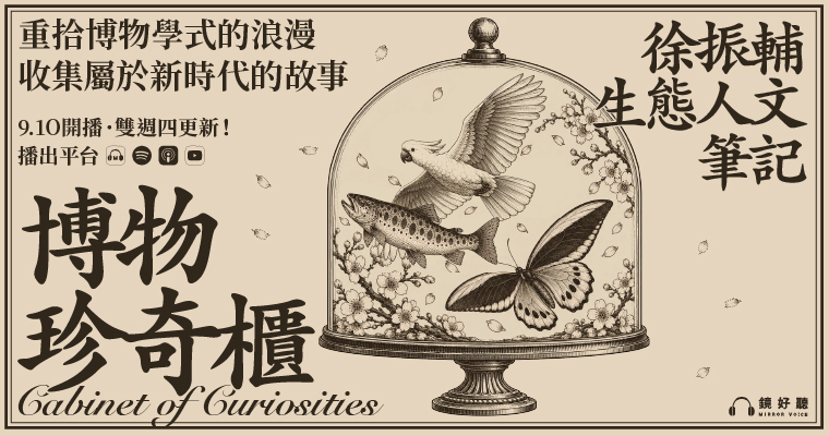 鏡好聽《博物珍奇櫃》節目