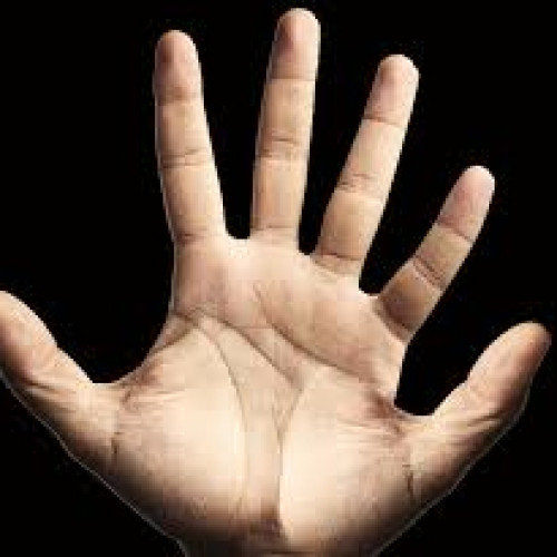 六指