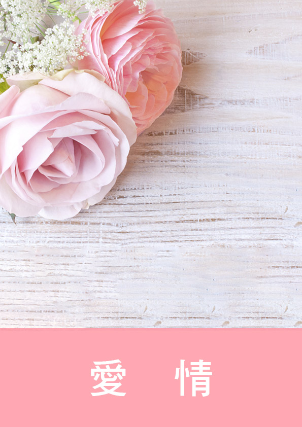 鄰家妹妹少根筋(下)