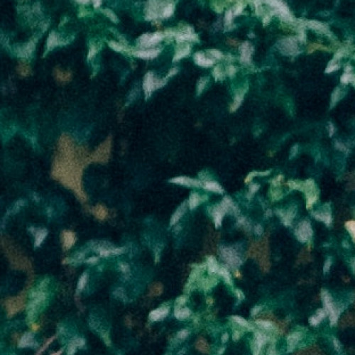 456545616