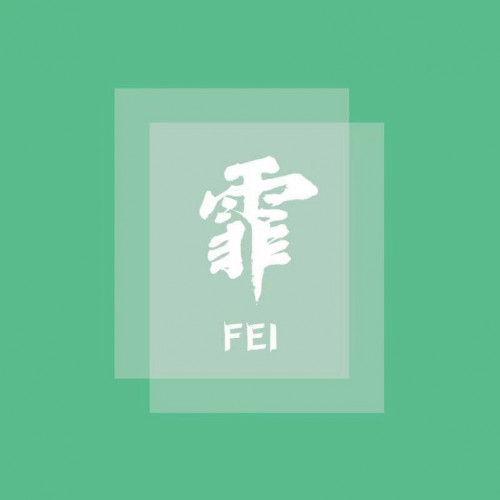 超级霏行员黄小T