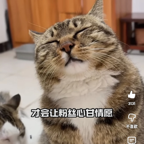 豬肉片