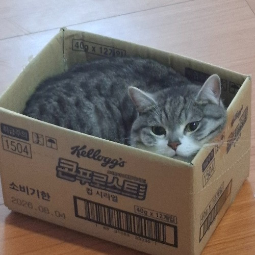 路過的烏梅汁