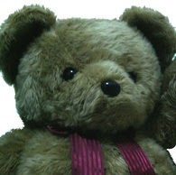 abnormalbear C