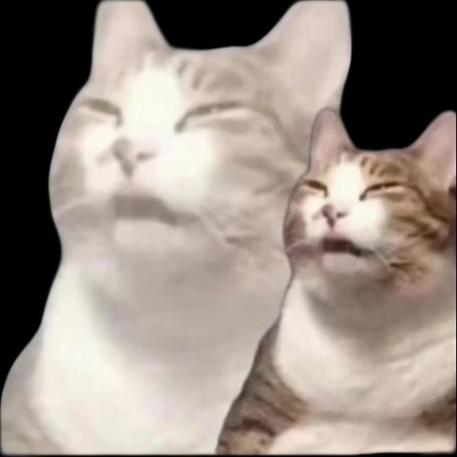 游荒