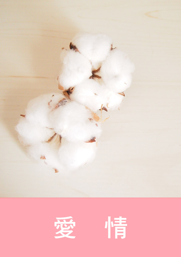 Mutual Denial雙向否認