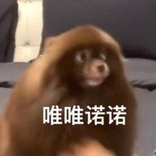 病娇百合至上主义