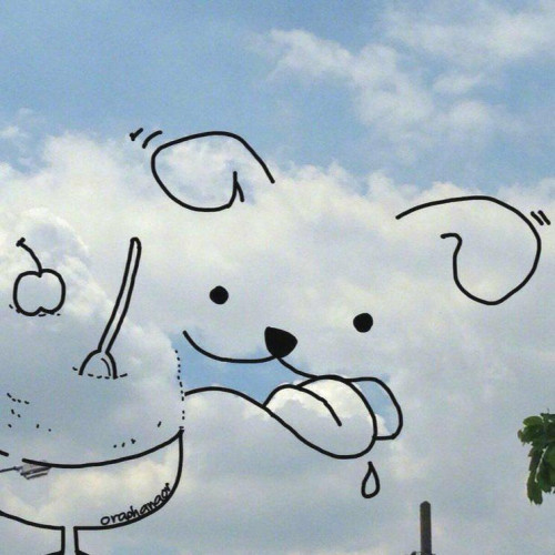 謎鹿