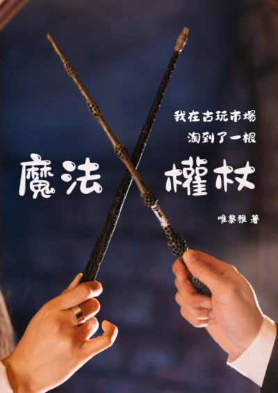 我在古玩市場淘到了一根魔法權杖