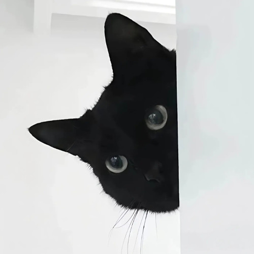 咸鱼