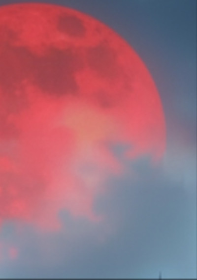 沉浸式體驗穿書