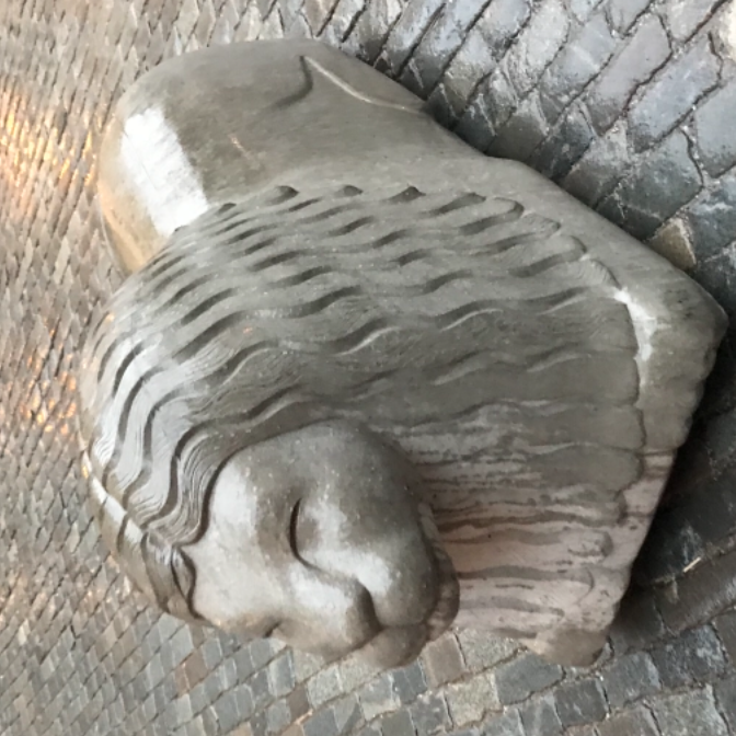 維士比
