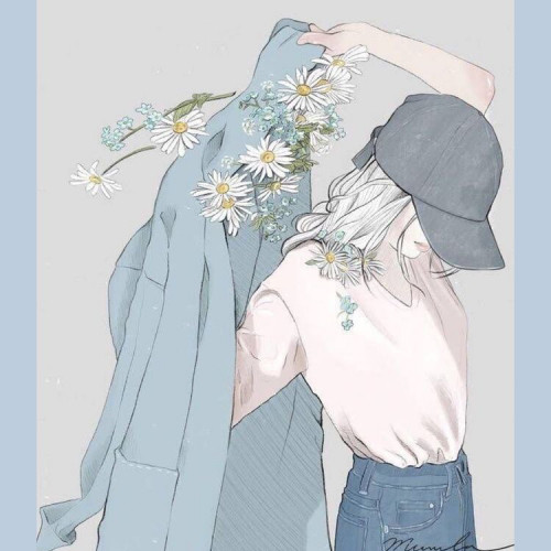 伊布IB