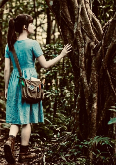 四道壁理論 - 相思木