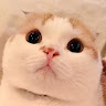 1321221李詠晴