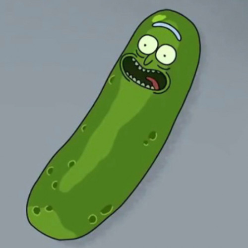 Pico Rick