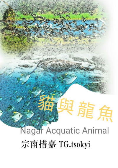 猫与龙鱼 | Nagar Aquatic Animal