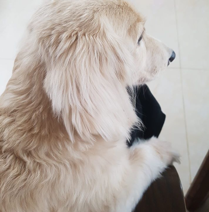 Freya