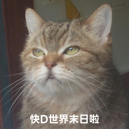 杰斯不解釋