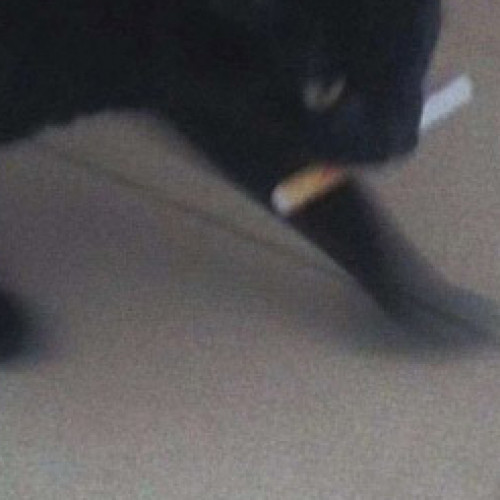 失态
