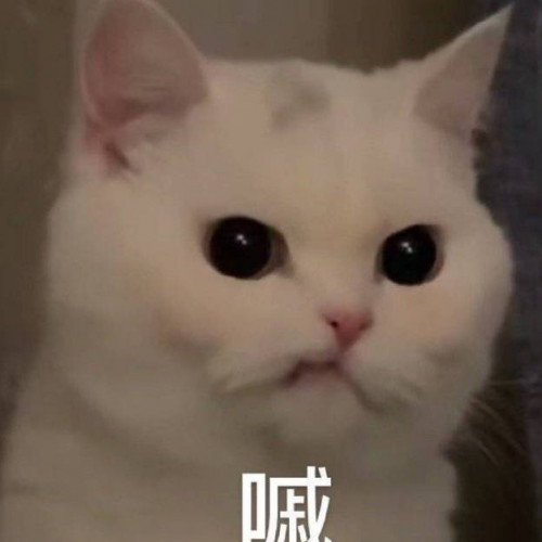 瓦格纳