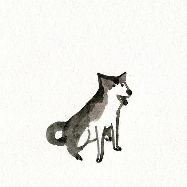 林庭樹