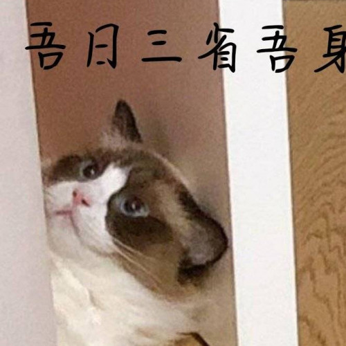 洛妖1102