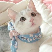 eunice-