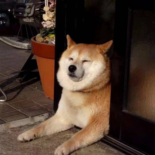 沐瞳温