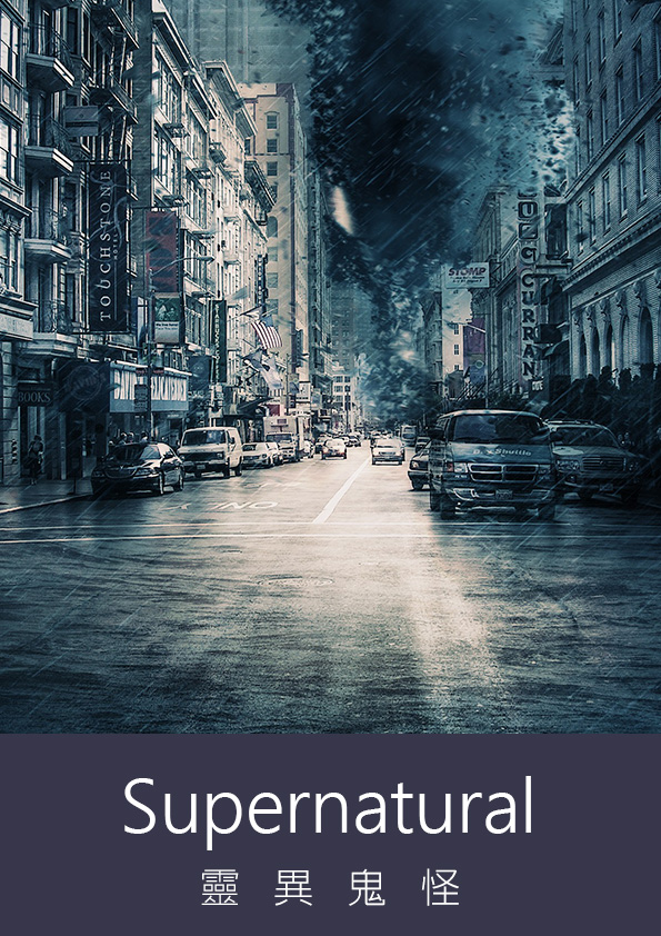 路與途—選舉打工的故事