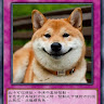 心山豆