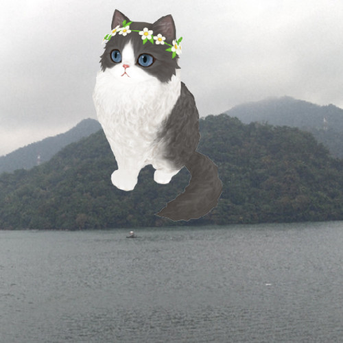 豬寶