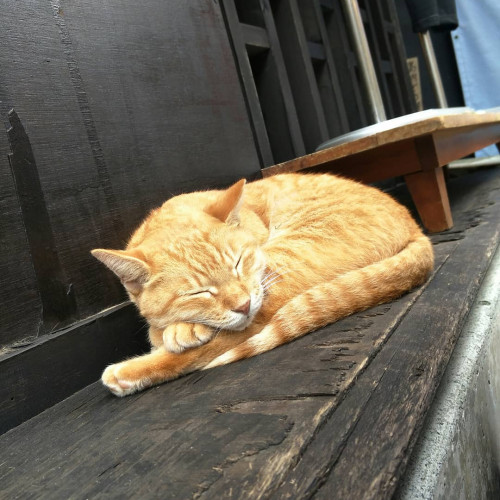 憂