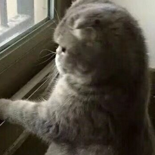 不到十月不改名