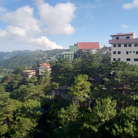 張仙仙