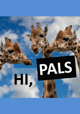 Hi, Pals