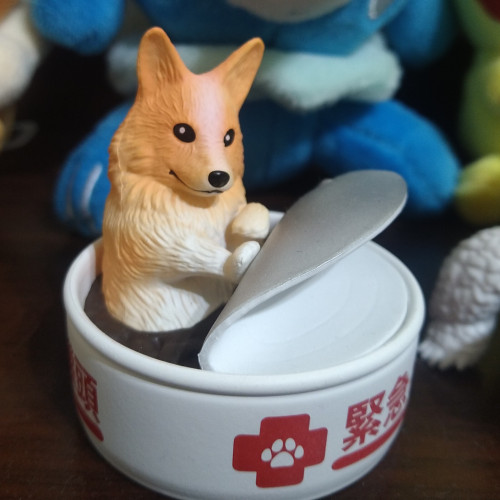 航貝殼