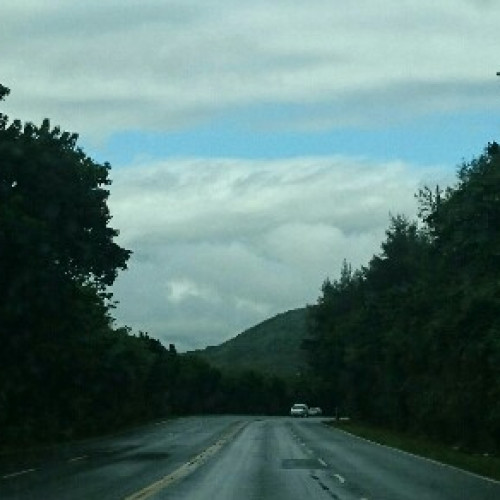 窩在沙發上的馬鈴薯