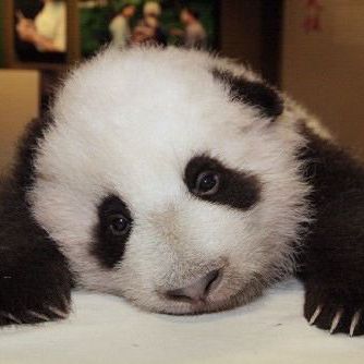 Sam Siow