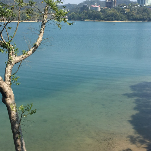 棠