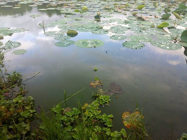 陳天