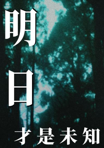 明日才是未知-Lameir