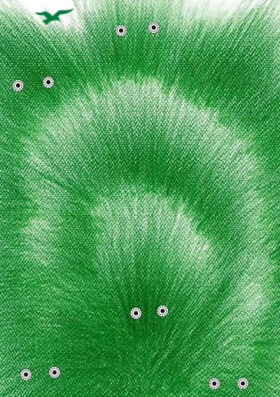 無過之罪，關於思覺失調症。