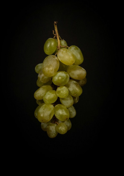 【第四屆鏡文學筆武大會】葡萄黑洞