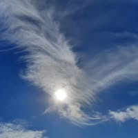 暖風襲襲藏青紅