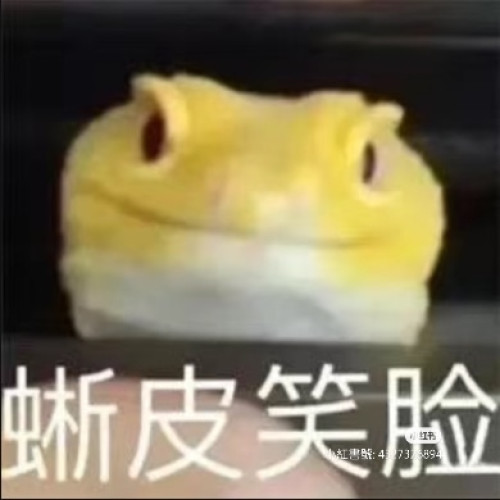 書白