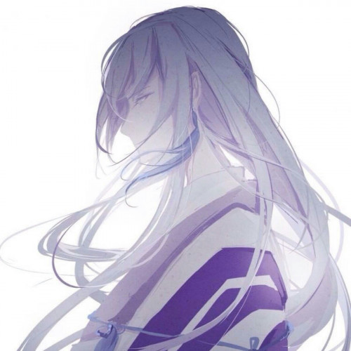 珒肆